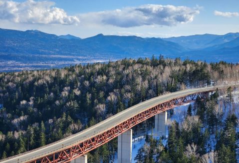 Bridge