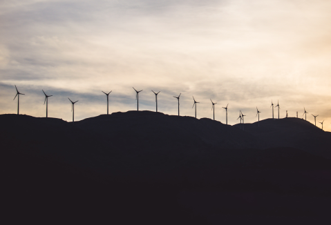 Risks to Sustaining Climate Action