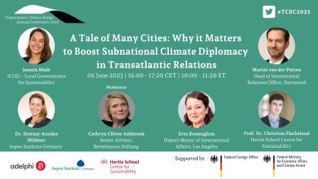 A Tale of Many Cities