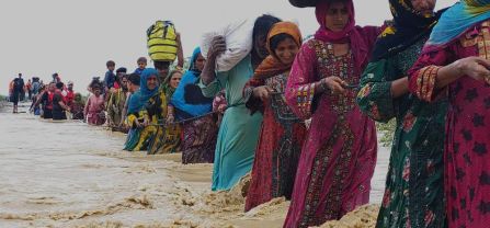 Climate Migrants