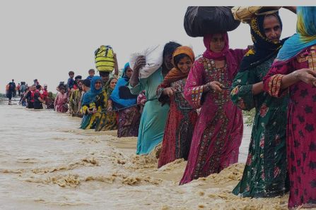 Climate Migrants